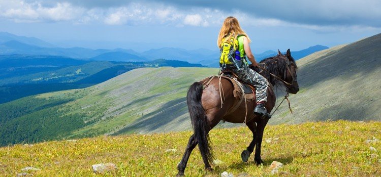 Jual Sparepart Truck Original